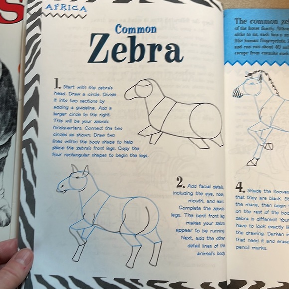 📚2/$6 2-Book Bundle Learn to Draw Animals - Picture 13 of 16